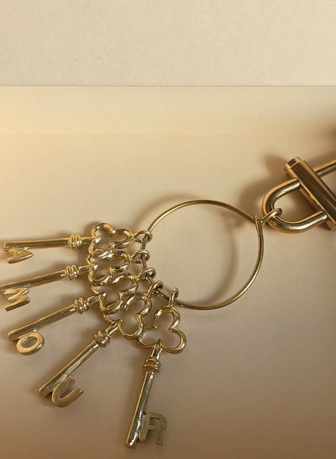 Traces key ring（bag charm）